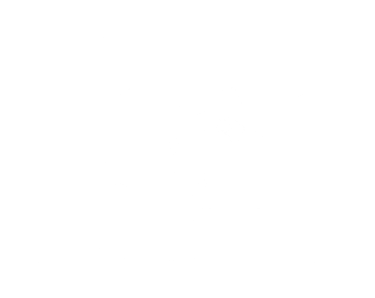 Logo TO GOAL SPORTS VENTURES